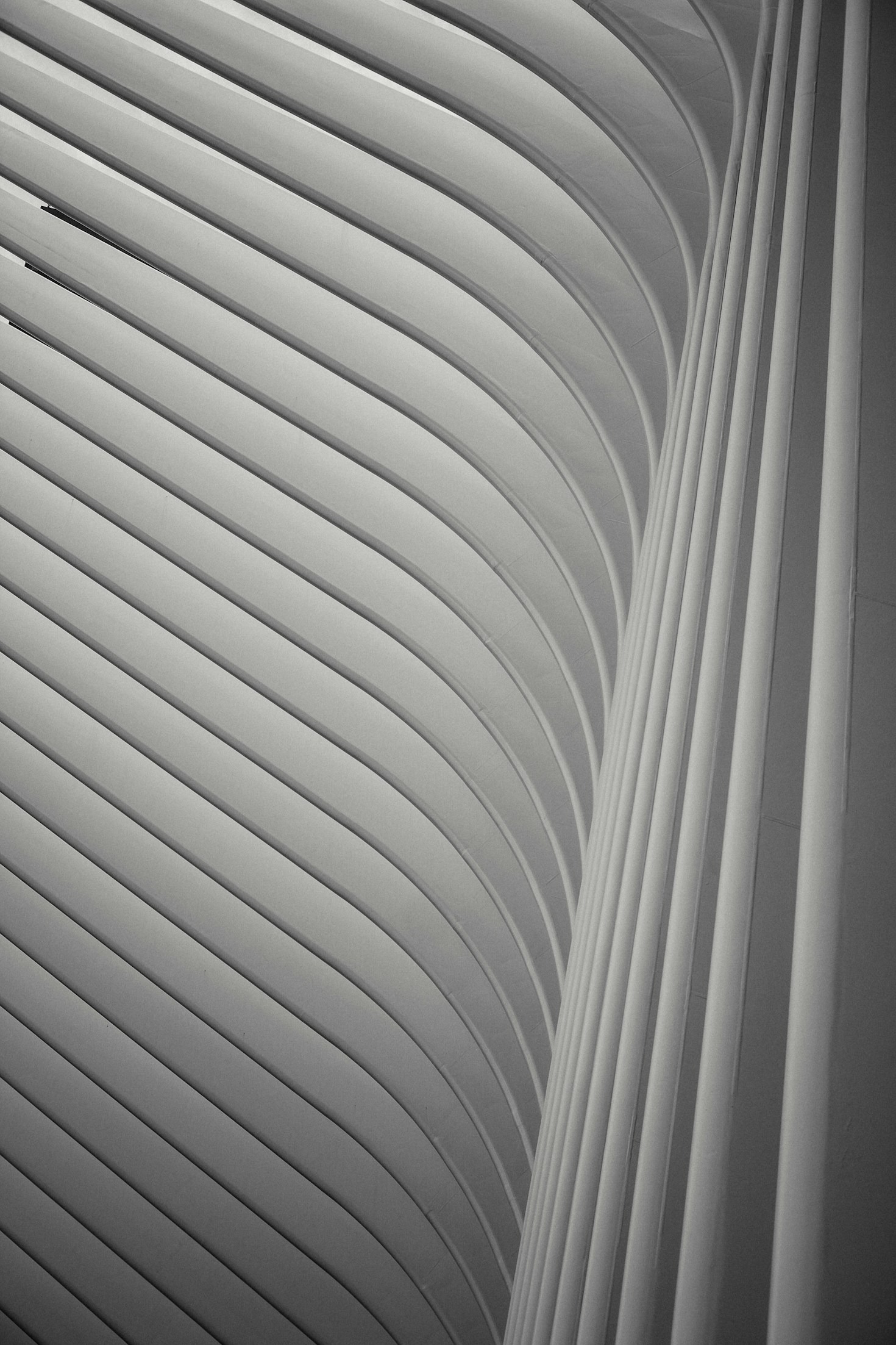 featured-image-4 The Intersection of Art and Structural Design